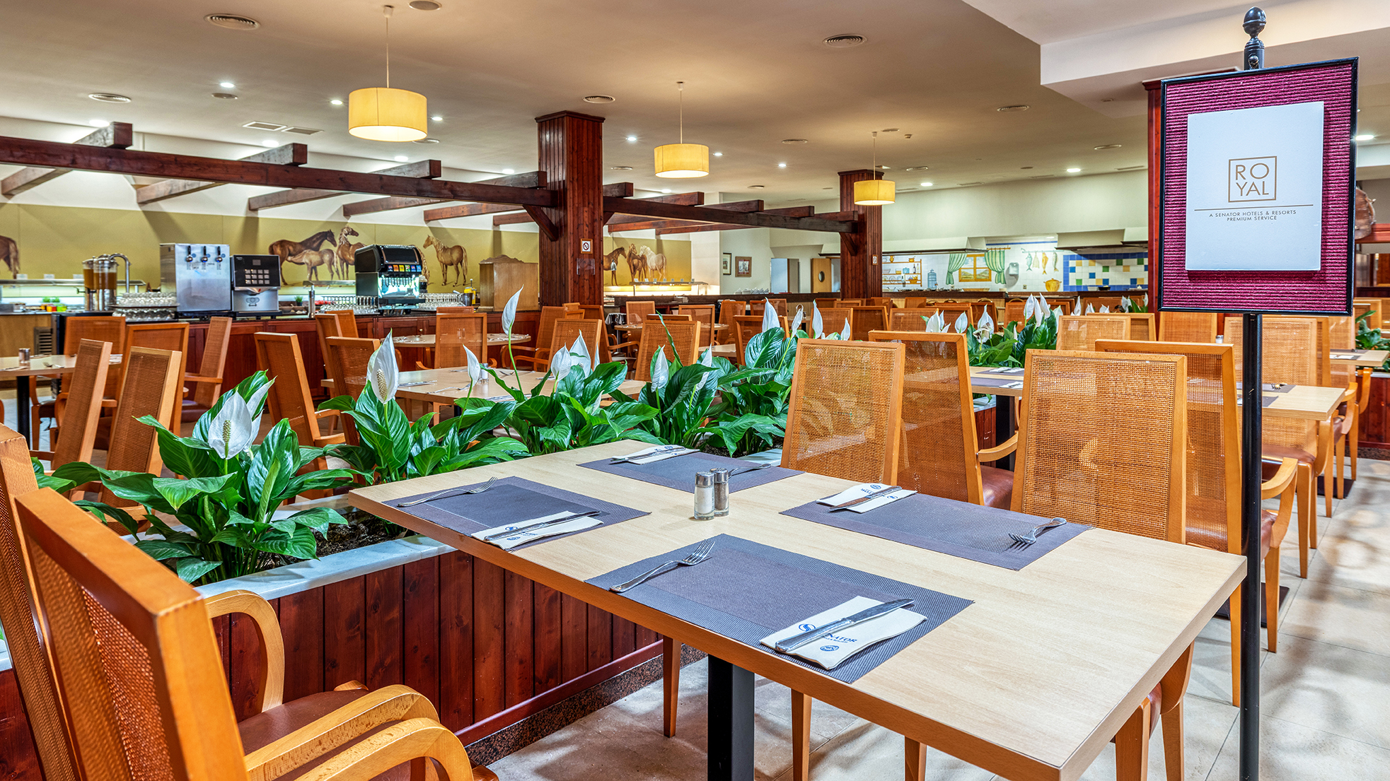 002_alta_playacartaya Royal Service.jpg